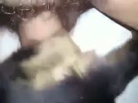 Man fucking a dirty dog xxx ass
